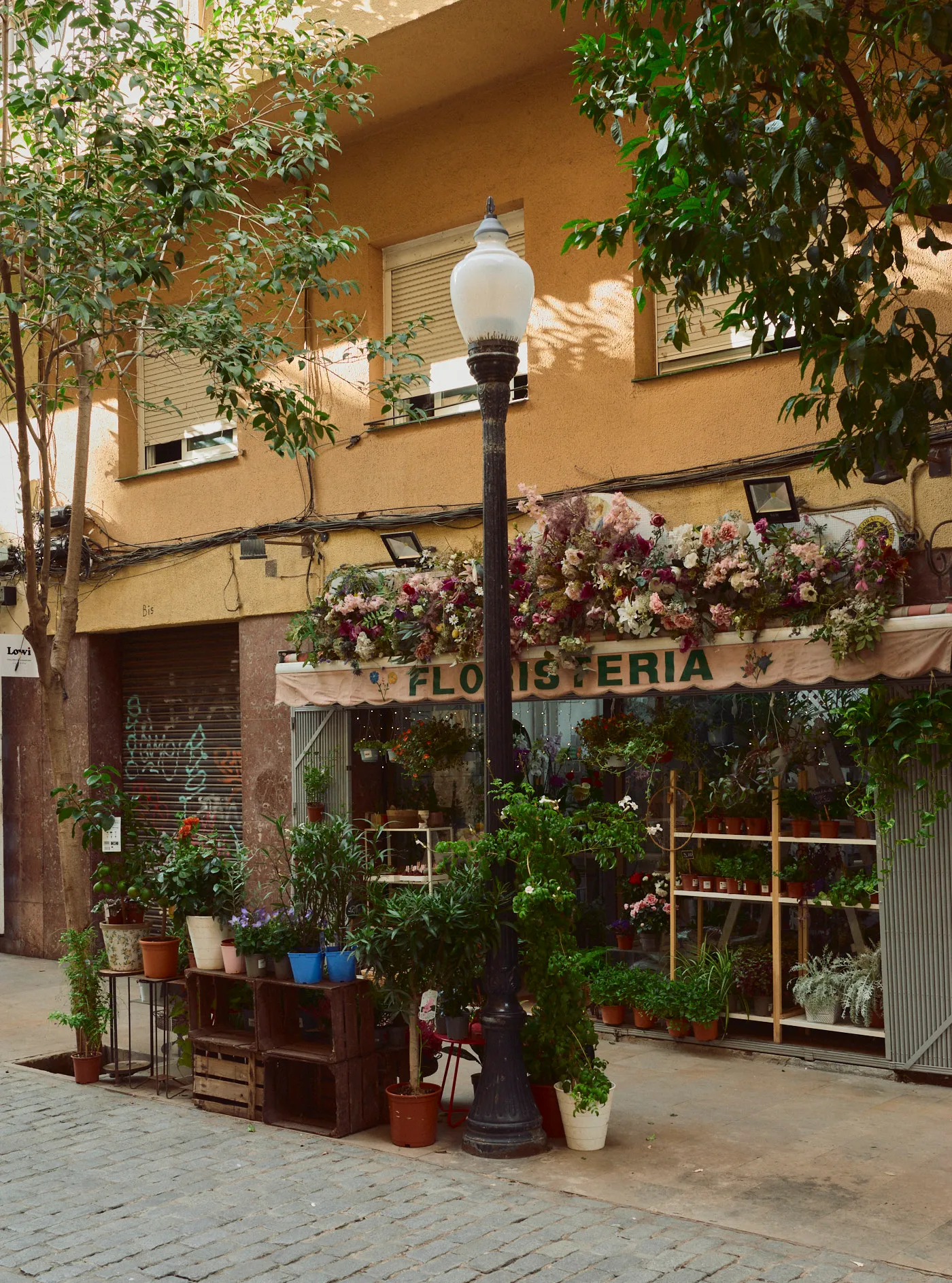 Flower shop facade floristeria