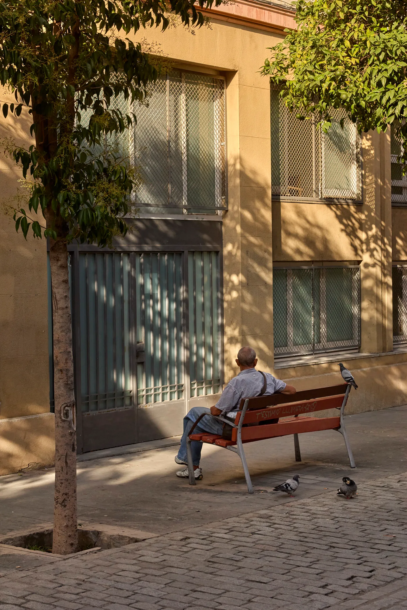 Man on bench pigeons barcelona