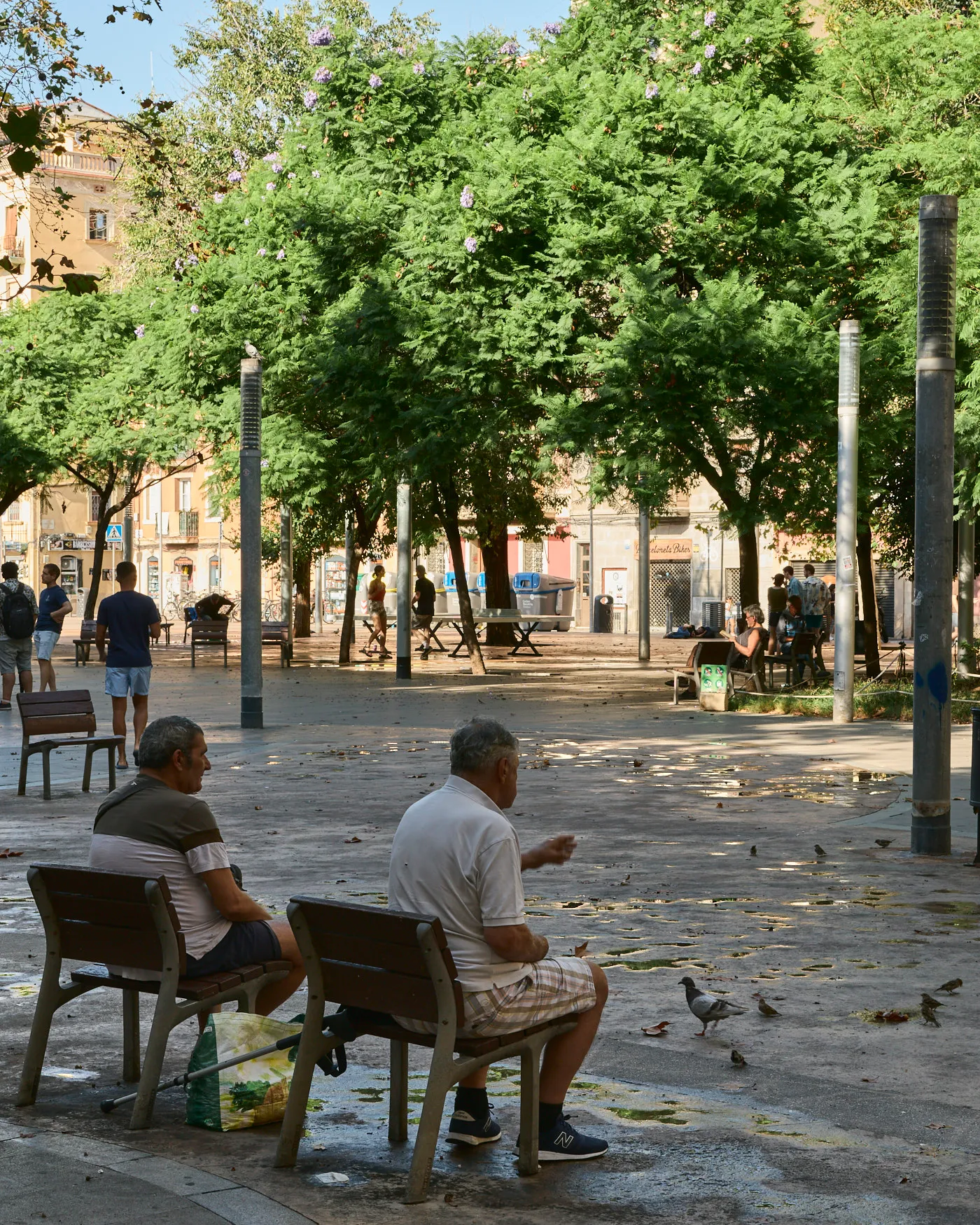 Men feeding pigeons square