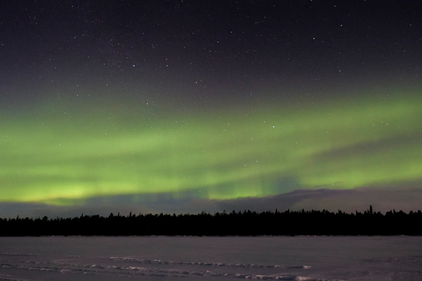 Northern lights over forest lapland