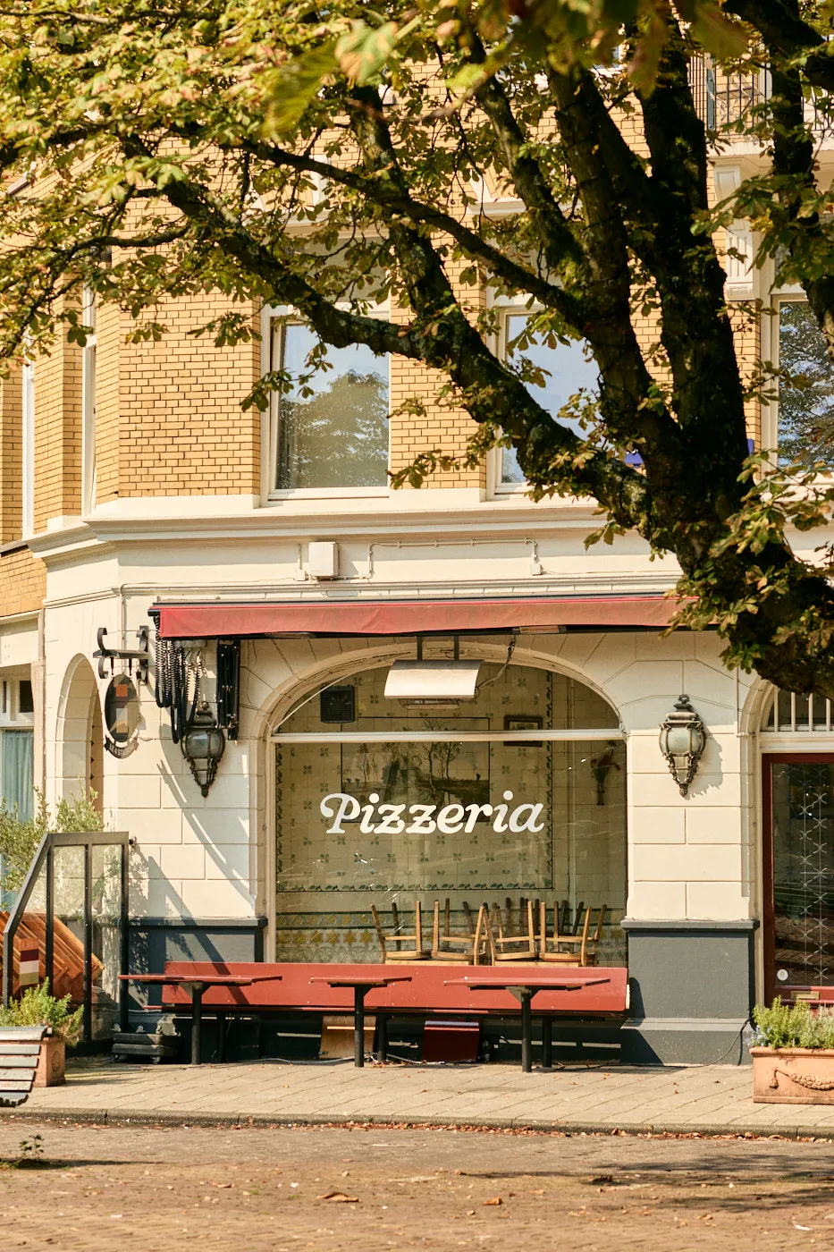 Pizzeria corner plane tree