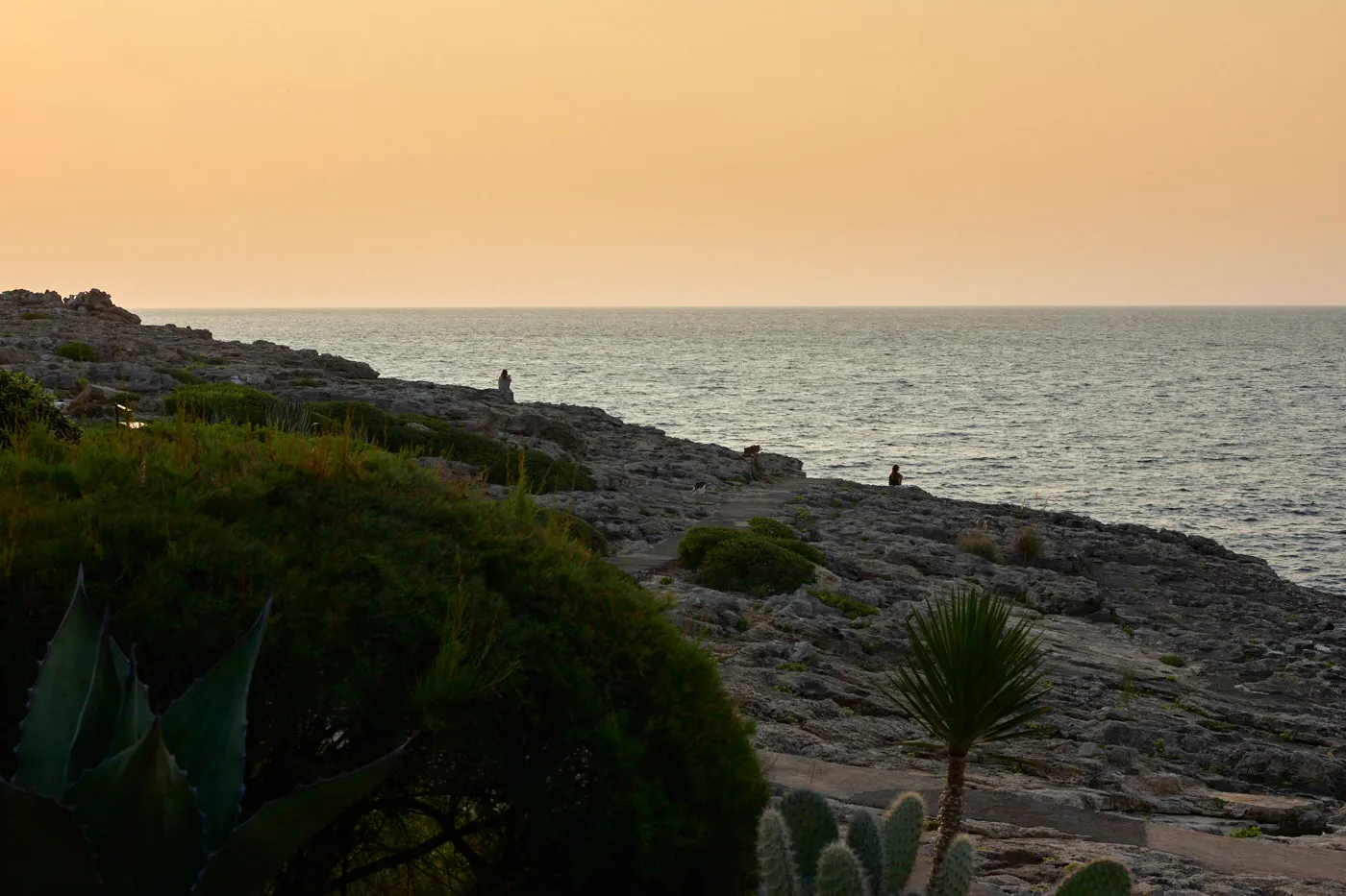 Rocky coastline sunset mallorca