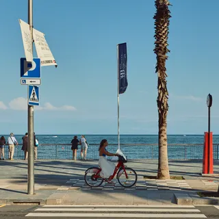 Seafront cyclist palm barcelona