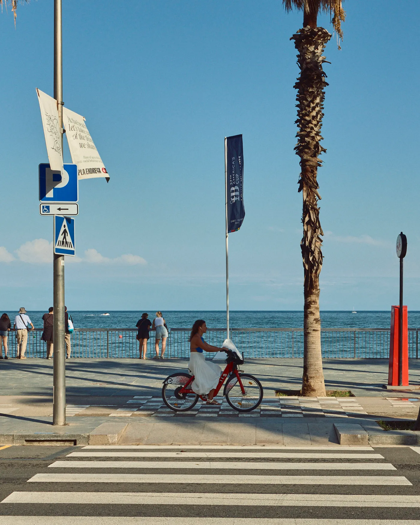 Seafront cyclist palm barcelona