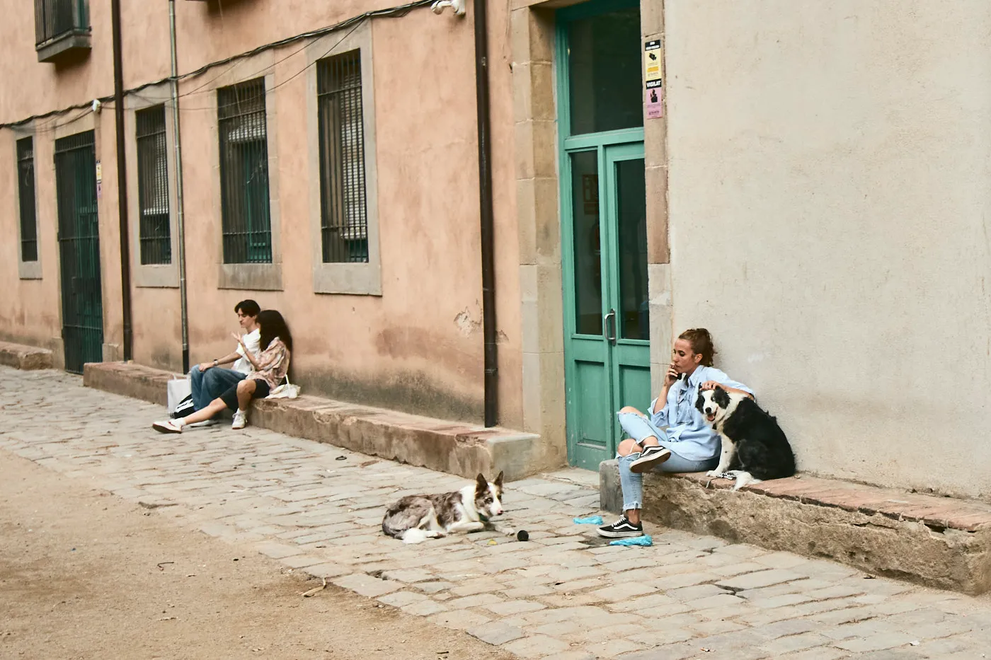 Stoop sitting dogs barcelona