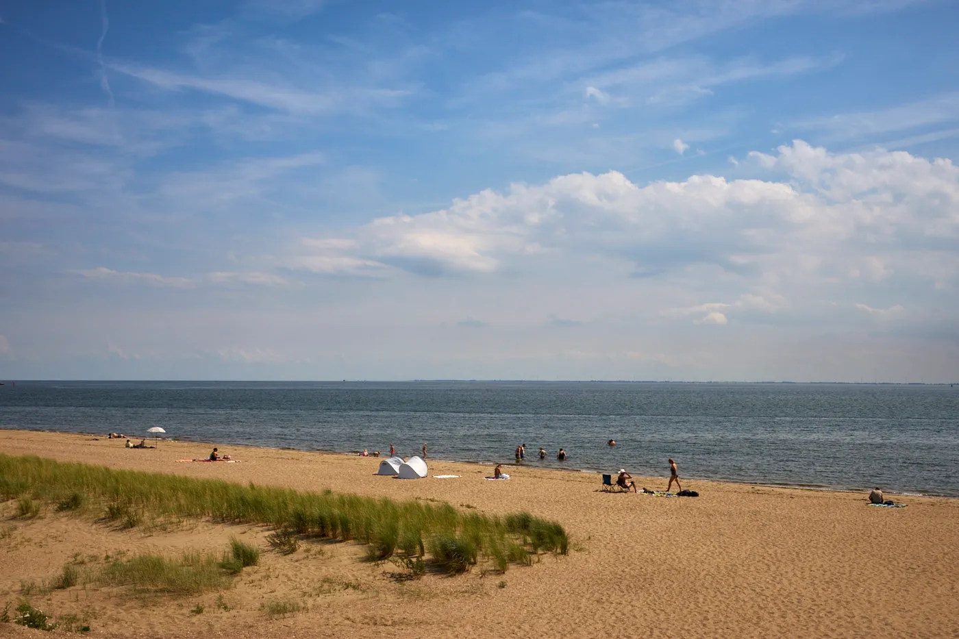 Summer beach dunes